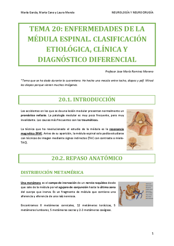 Miniatura del documento NEURO-TEMA-20.pdf
