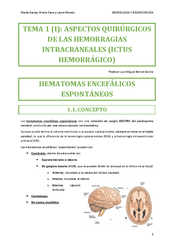 Miniatura del documento NEUROCIRUGIA-TEMA-1-I.pdf