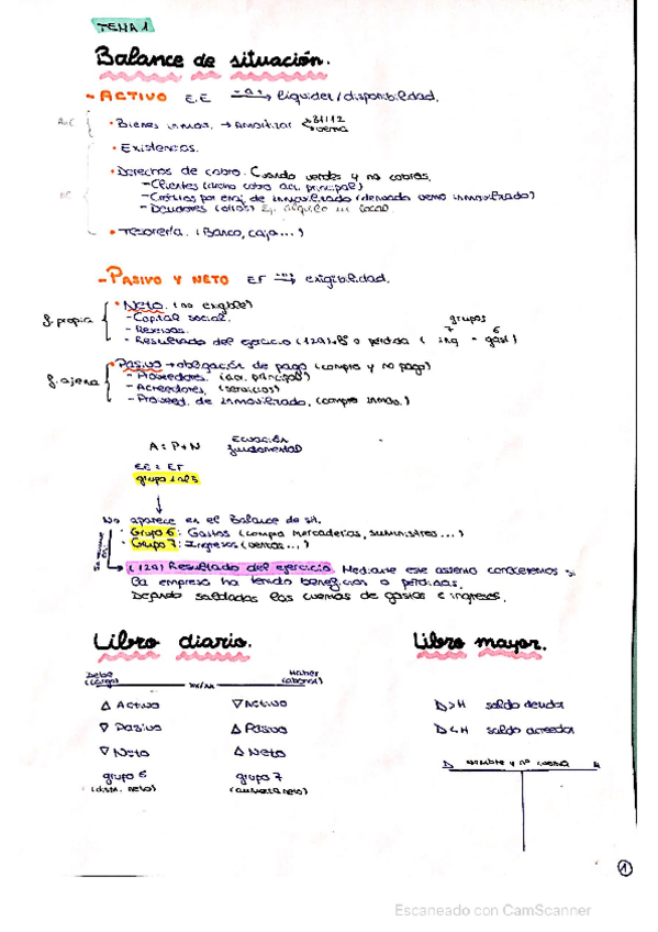 Miniatura del documento Apuntes-practicaejerc.pdf