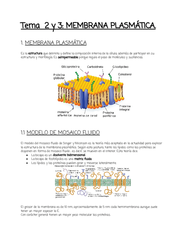 Miniatura del documento Tema-2-y-3.pdf