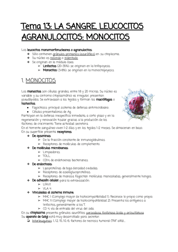 Miniatura del documento Tema-13.pdf