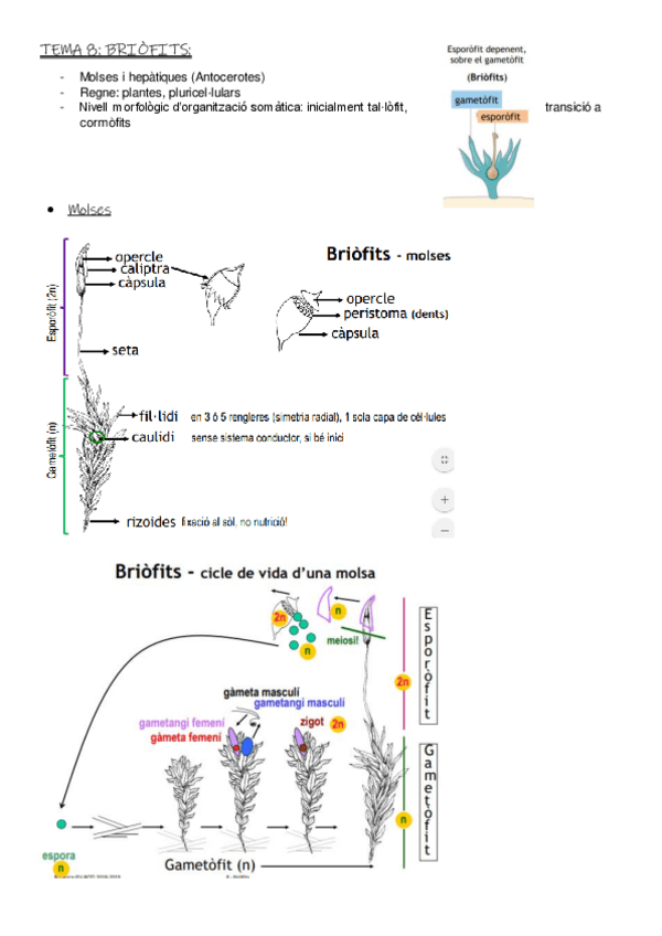 Miniatura del documento Apuntes-t8-t12.pdf
