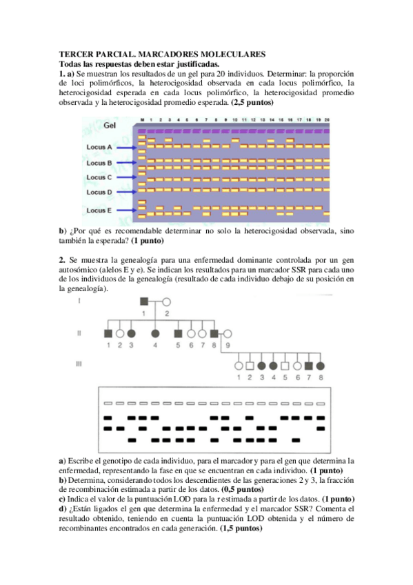 Miniatura del documento 3o-Parcial-05-2020-Paula-Espinosa-Molina.pdf