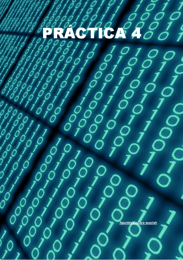 Miniatura del documento Apuntesxlacara-Practica-4.pdf