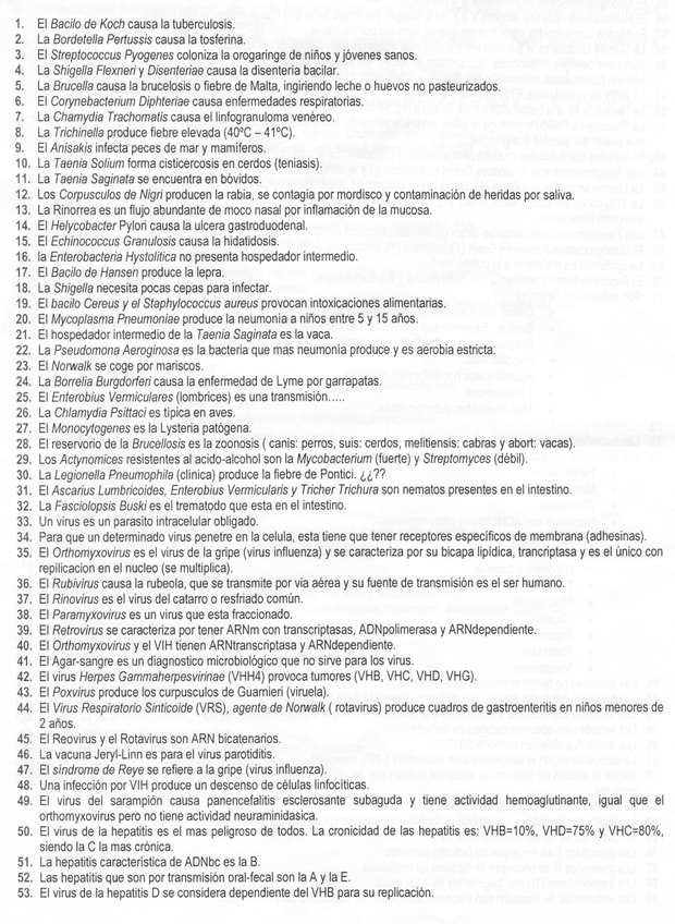 Miniatura del documento Micro1.jpg