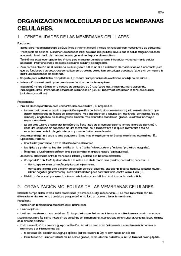 Miniatura del documento BCA-1.pdf