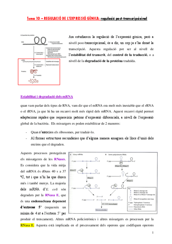 Miniatura del documento Tema-10-11-12-def.pdf