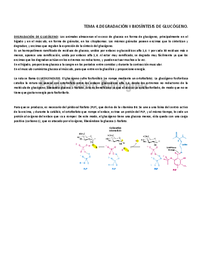 Miniatura del documento BQ 4.pdf