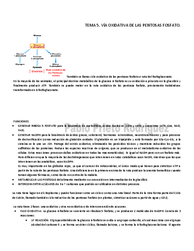 Miniatura del documento BQ 5.pdf