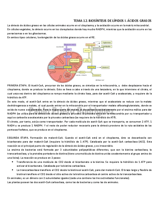 Miniatura del documento BQ 12.pdf