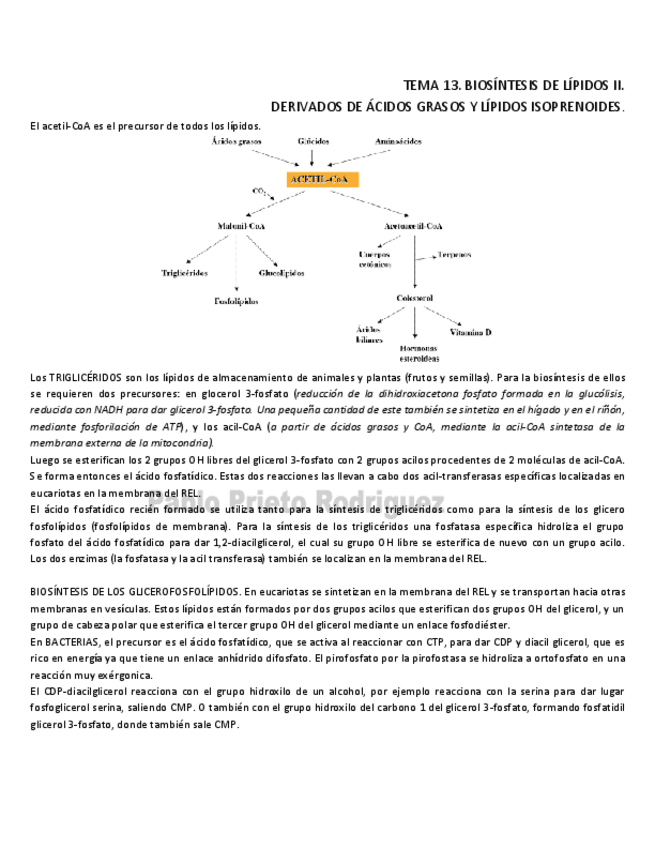 Miniatura del documento BQ 13.pdf