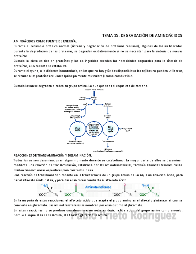 Miniatura del documento BQ 15.pdf
