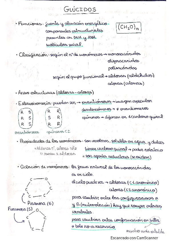 Miniatura del documento Glucidos-y-Glicoconjugados.pdf