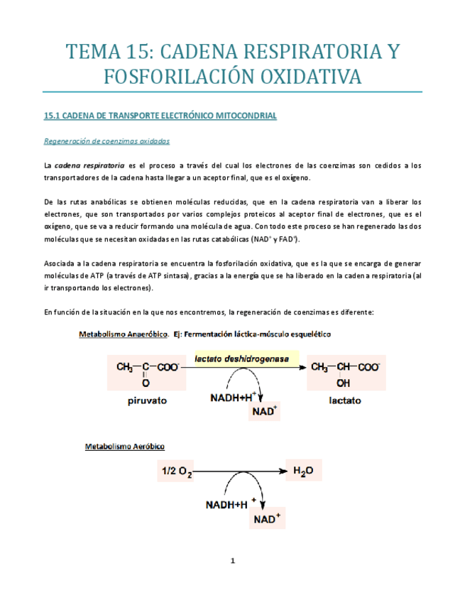 Miniatura del documento TEMA-15-B.pdf