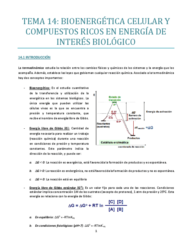 Miniatura del documento TEMA-14-B.pdf