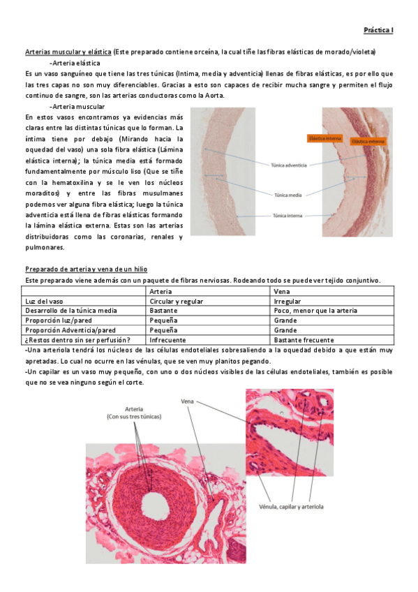 Miniatura del documento Practicas.pdf