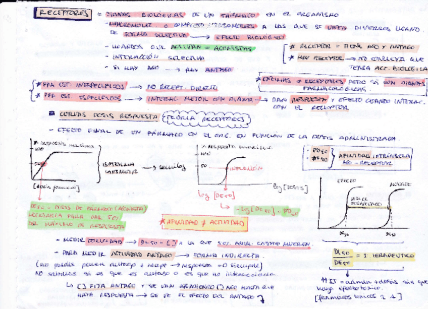 Miniatura del documento TEMAS-3-4-5.pdf