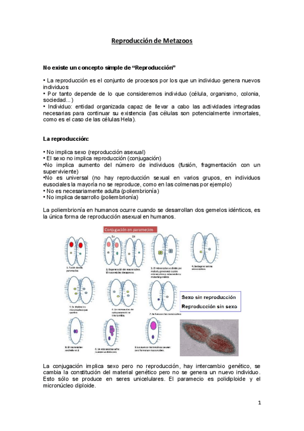 Miniatura del documento Reproducción de Metazoos.pdf