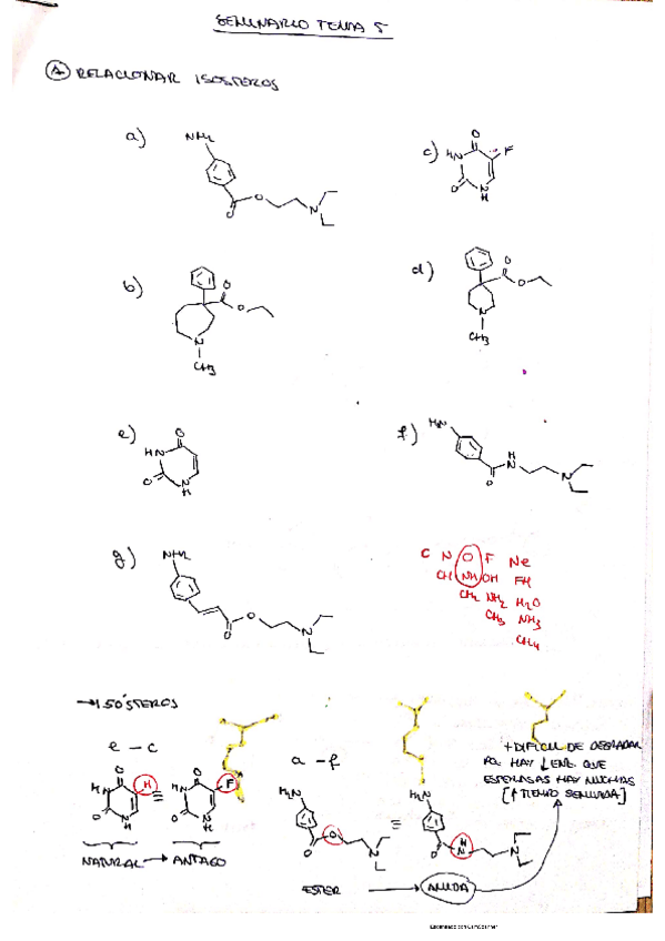 Miniatura del documento seminario-5.pdf