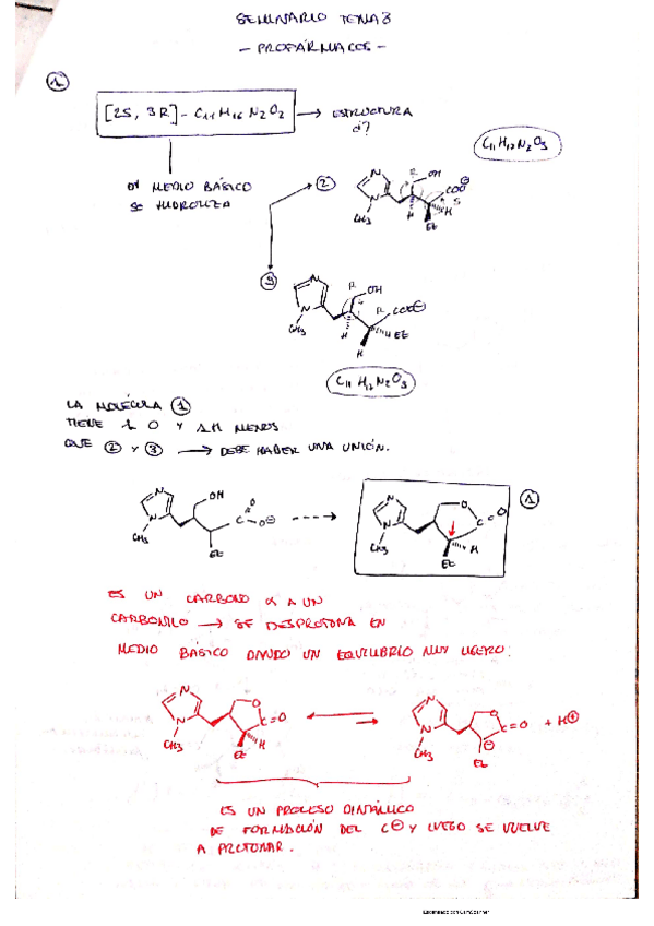 Miniatura del documento seminario-8.pdf