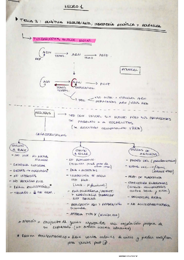 Miniatura del documento tema-3.pdf