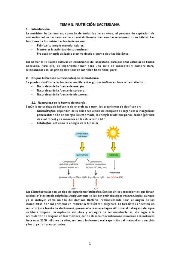 Miniatura del documento Tema-5-Nutricion-bacteriana.pdf