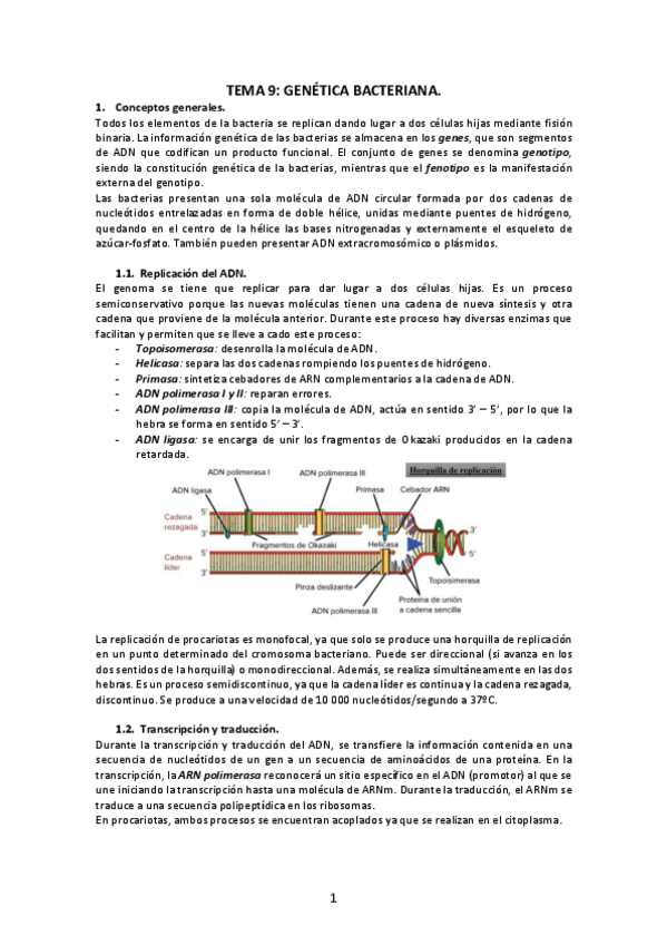 Miniatura del documento Tema-9-Genetica-bacteriana.pdf