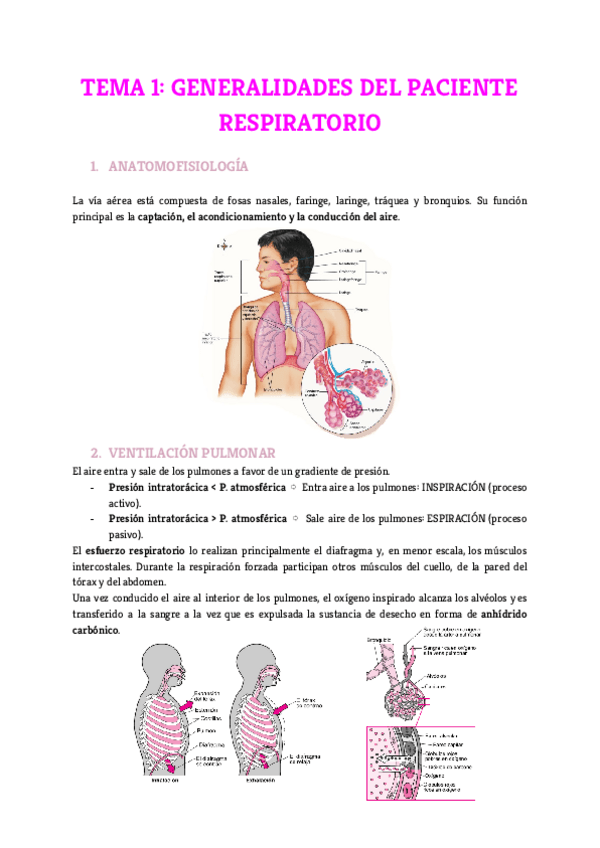 Miniatura del documento Tema-1.pdf