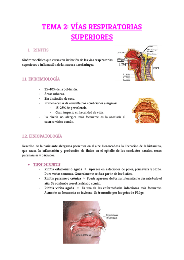 Miniatura del documento Tema-2.pdf