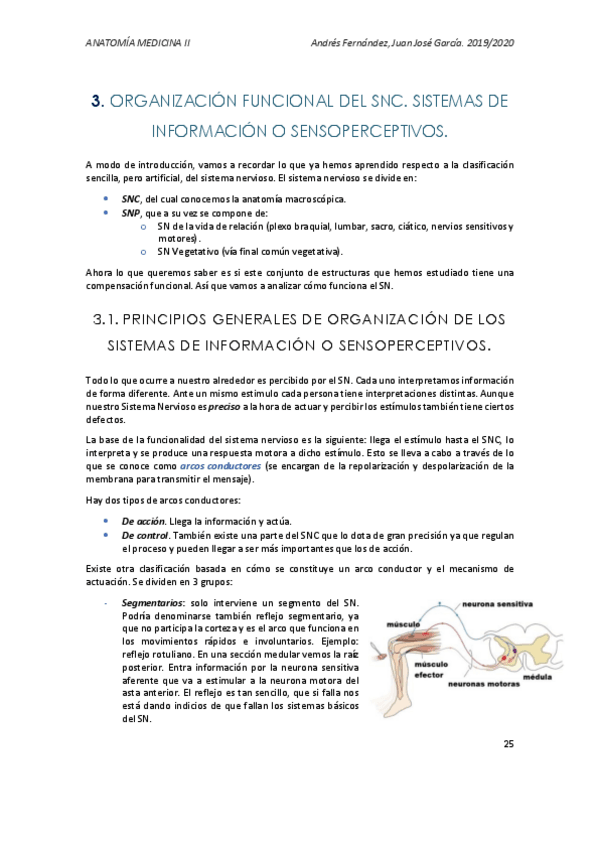 Miniatura del documento TEMA-3.pdf