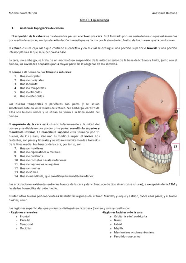 Miniatura del documento 4-ESPLACNOLOGIA.pdf