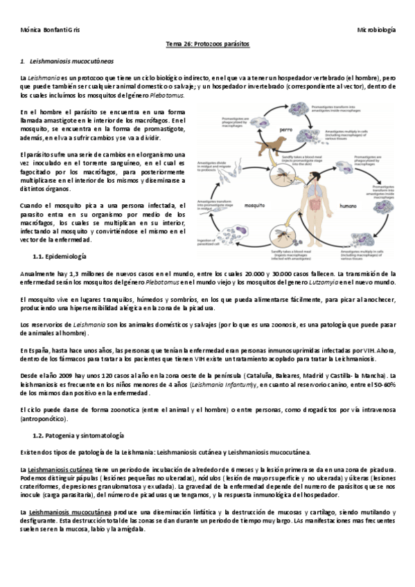 Miniatura del documento Tema-26.pdf