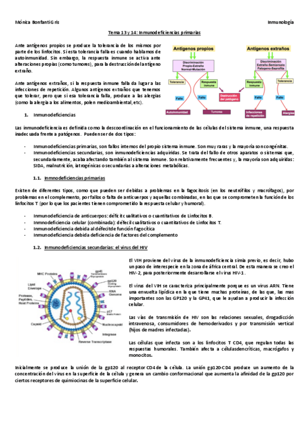 Miniatura del documento Tema-13-y-14.pdf