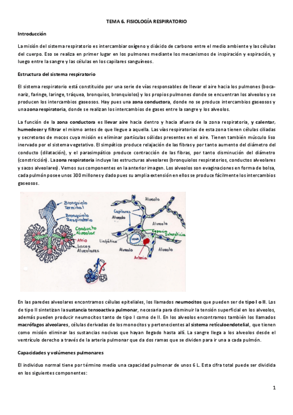 Miniatura del documento RESPIRATORIO.pdf