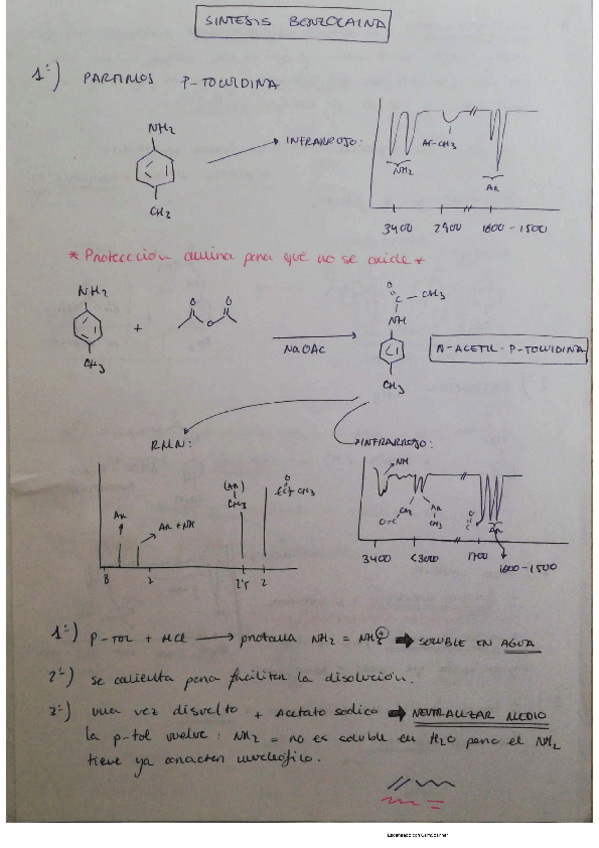 Miniatura del documento sintesis-benzocaina.pdf