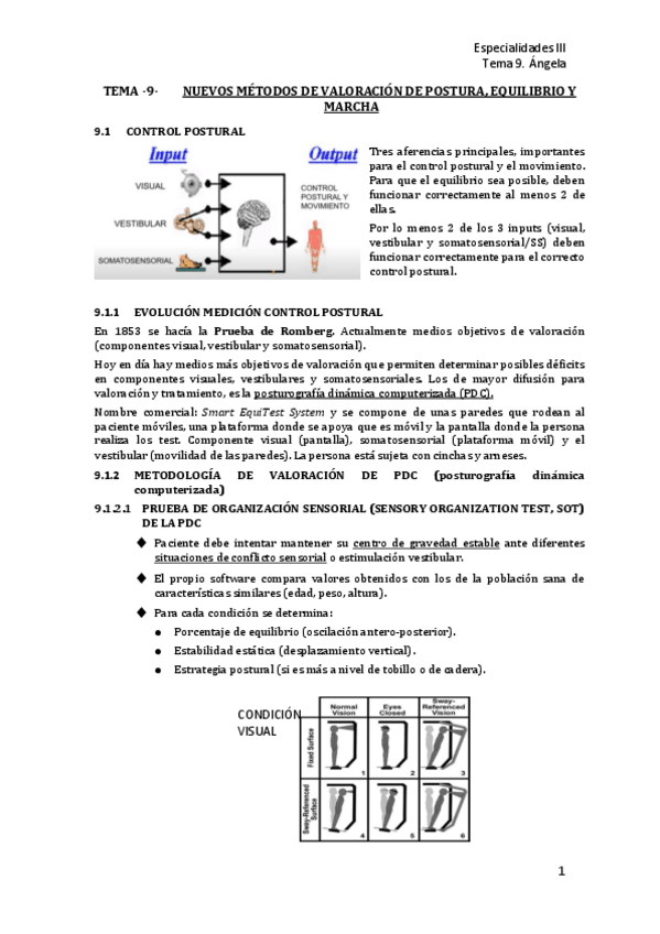 Miniatura del documento T9-Nuevos-metodos-de-valoracion-de-postura-equilibrio-y-marcha.pdf
