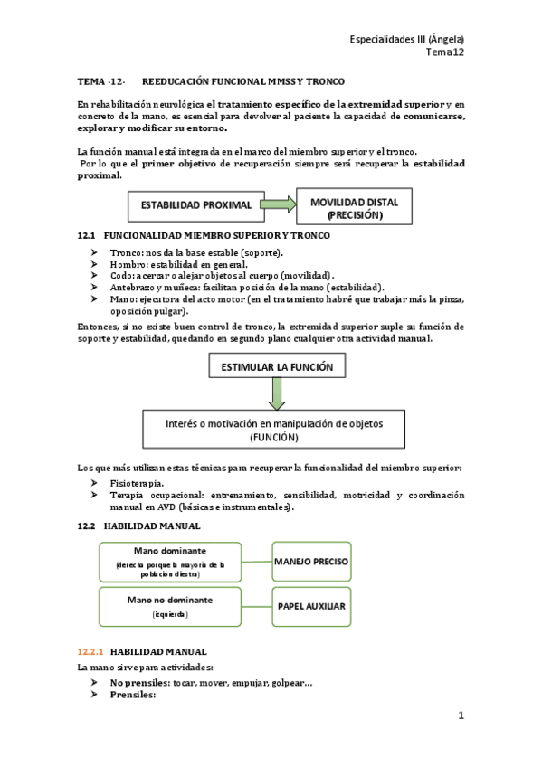 Miniatura del documento T12-Reeducacion-funcional-MMSS-y-tronco.pdf