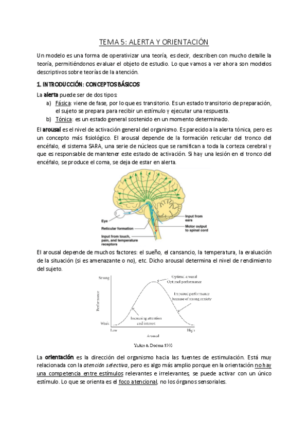 Miniatura del documento Tema-5.pdf