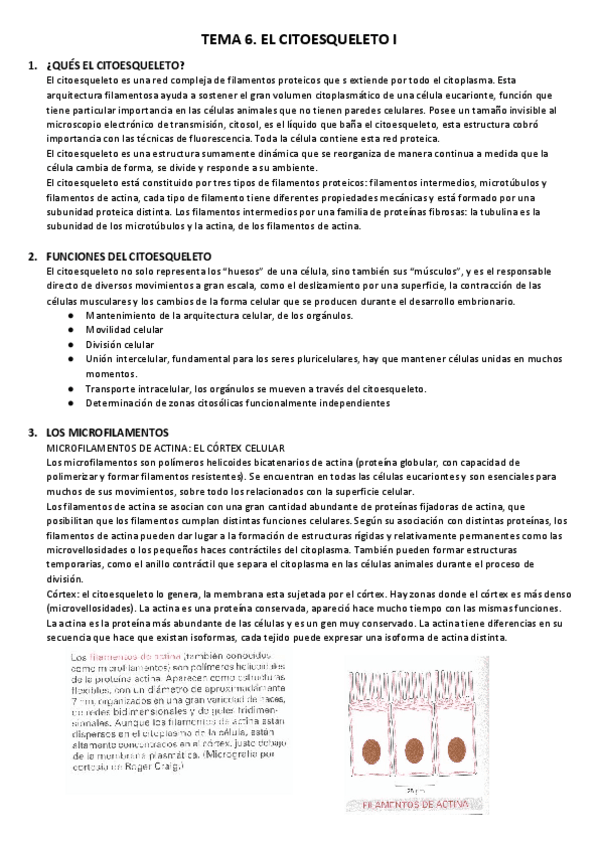 Miniatura del documento TEMA-6-1.pdf