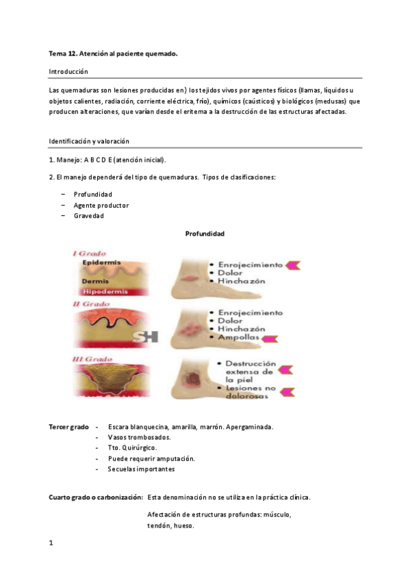 Miniatura del documento Tema-12.pdf