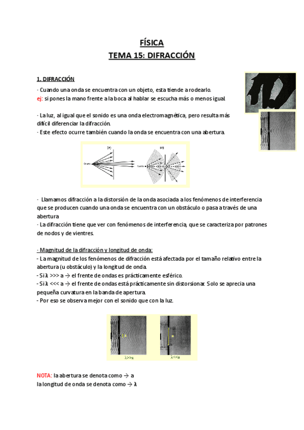 Miniatura del documento Fisica-Tema-15-.pdf