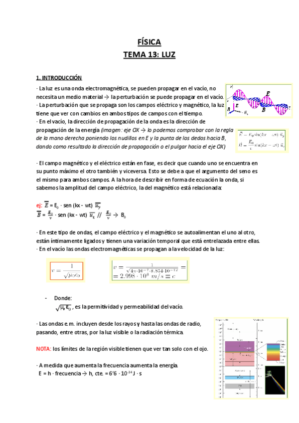 Miniatura del documento Fisica-Tema-13.pdf