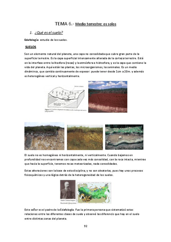Miniatura del documento TEMA-6-medioambiente.pdf