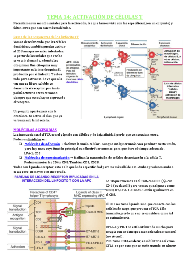 Miniatura del documento TEMA-14.pdf