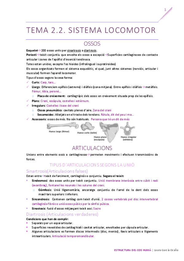 Miniatura del documento Resum-T2.pdf