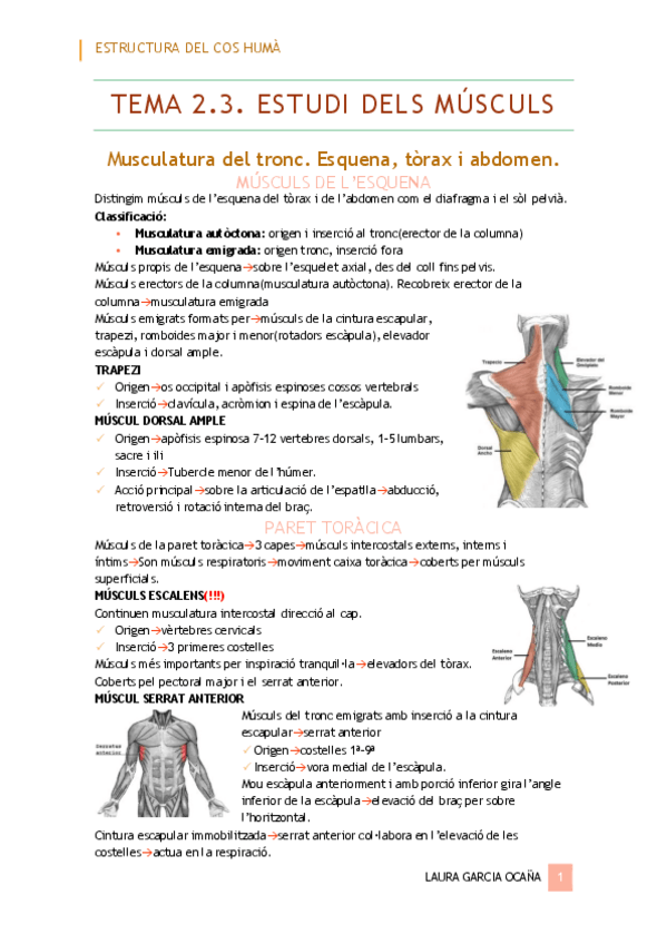 Miniatura del documento Resum-T2.pdf