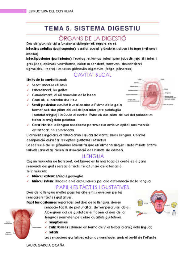 Miniatura del documento Resum-T5.pdf