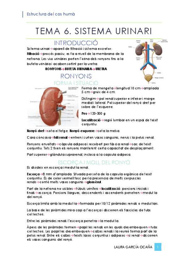 Miniatura del documento Resum-T6.pdf