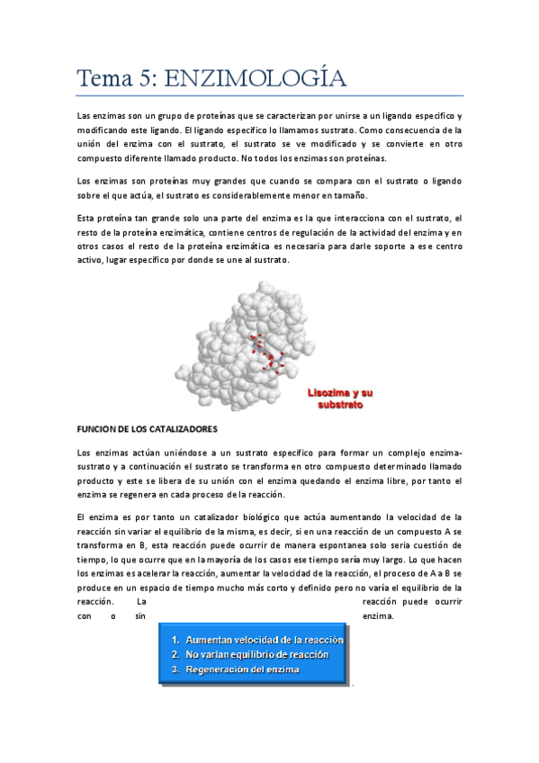 Miniatura del documento Tema 5.pdf