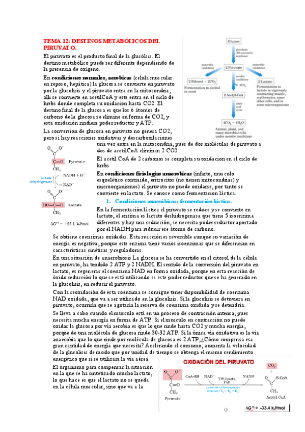 Miniatura del documento TEMA 12.pdf